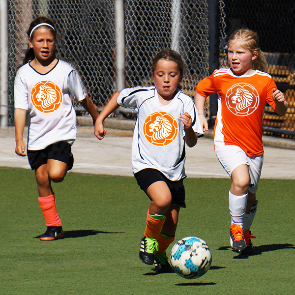 girls-soccer-skils-classes-academy-5-14-long-island-port-washingtonkopie