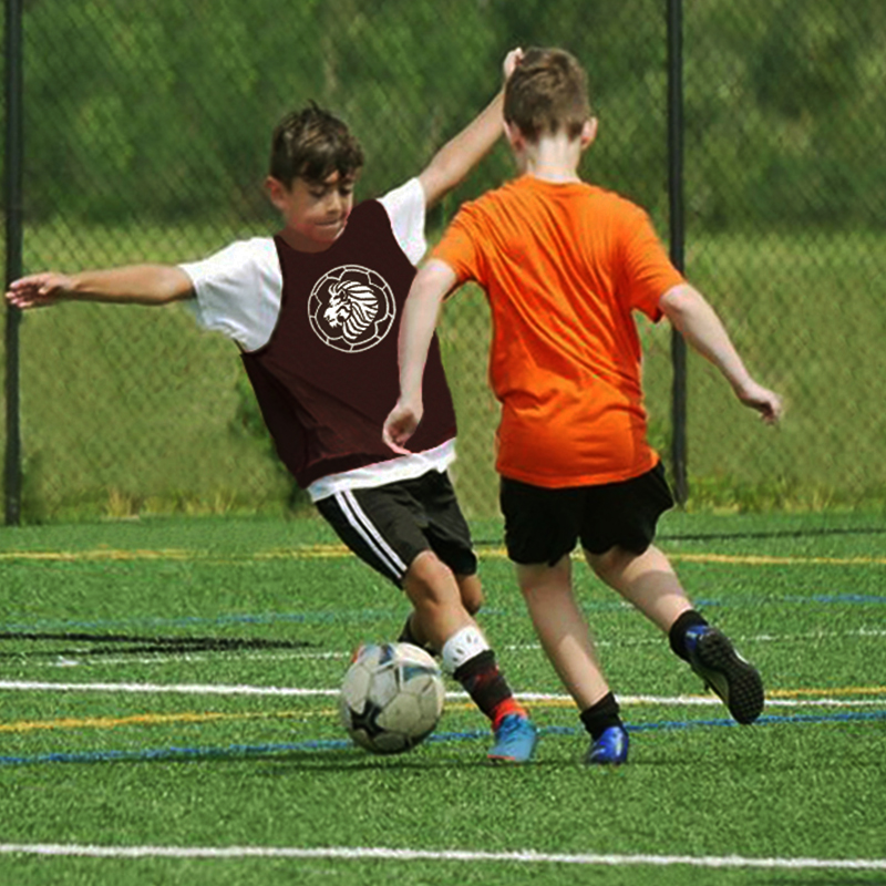 The best place to learn soccer on Long Island. Located in Port Washington, Dutch Pro Soccer offers quality skills classes, camps, scrimmage programs, private training and travel team options. 