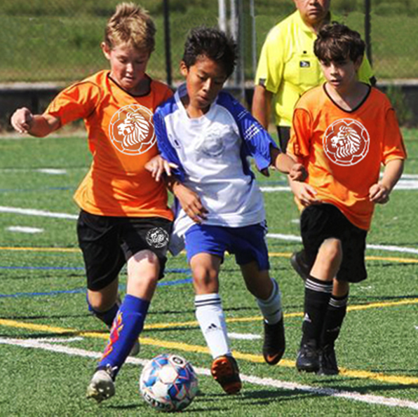 soccer-skills-classes-scrimmage-programs-and-travel-teams-dutch-pro-soccer-academy-port-washington-ny soccer-skills-classes-scrimmage-programs-and-travel-teams-dutch-pro-soccer-academy-port-washington-ny