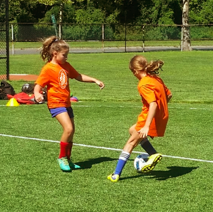 dutch pro soccer academy-girls boys 3 to 15 years port washington long island new york