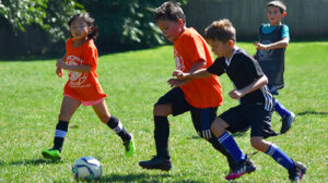 Summer Camps on Long Island