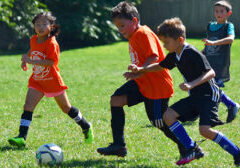 Summer Camps on Long Island